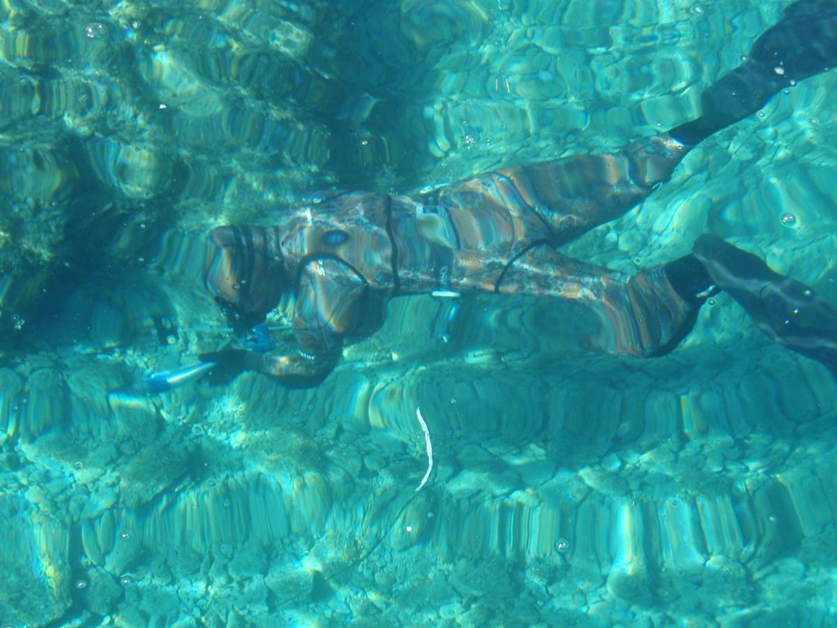Pacho Daire Baška Voda Dış mekan fotoğraf